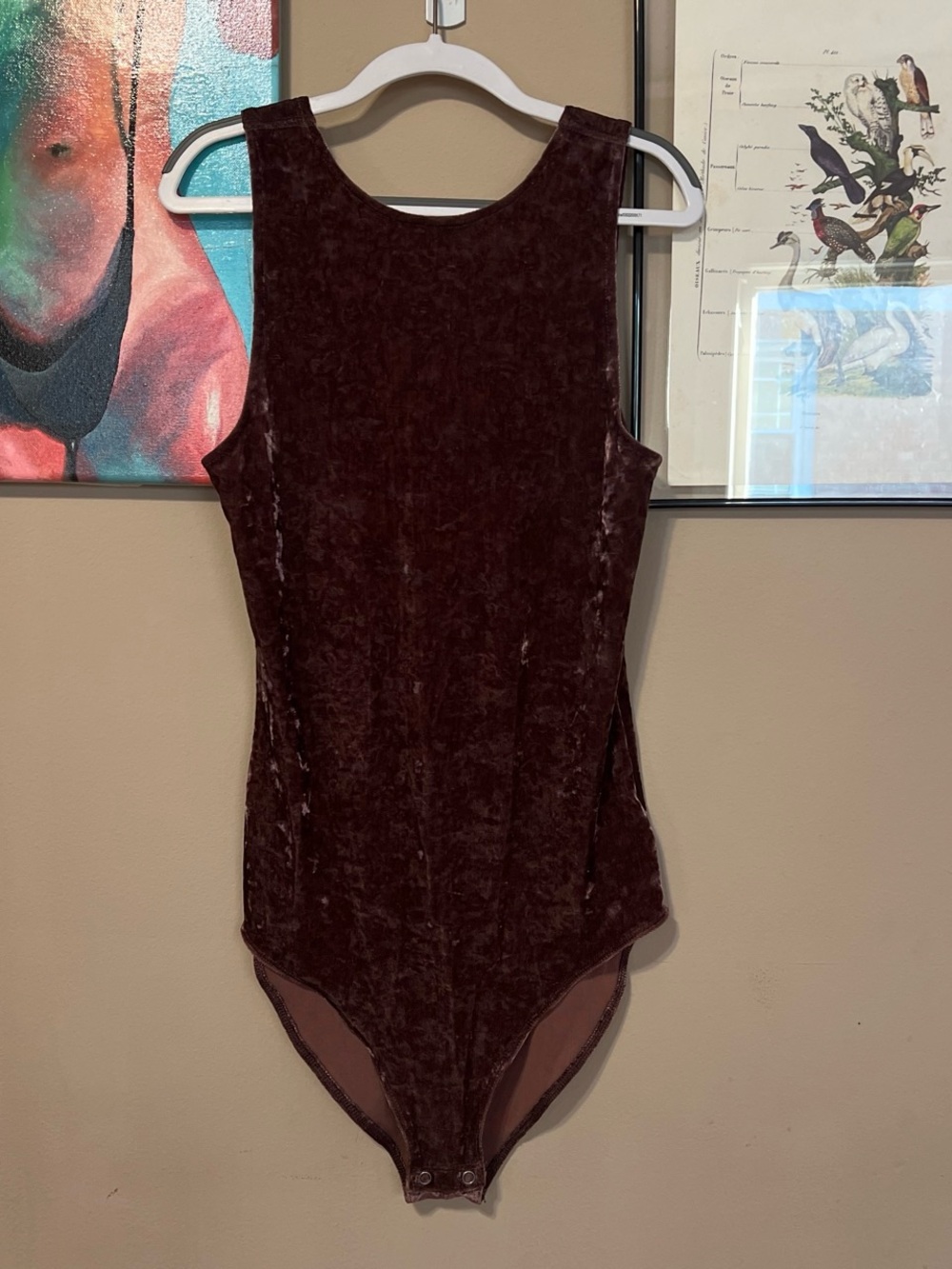 American Eagle Velvet Bodysuit